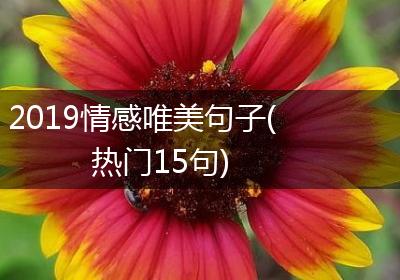 2019情感唯美句子(热门15句)