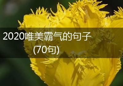 2020唯美霸气的句子(70句)