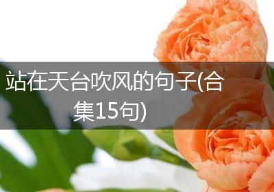 站在天台吹风的句子(合集15句)
