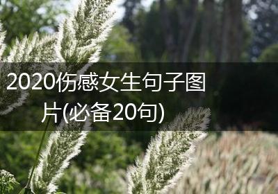 2020伤感女生句子图片(必备20句)