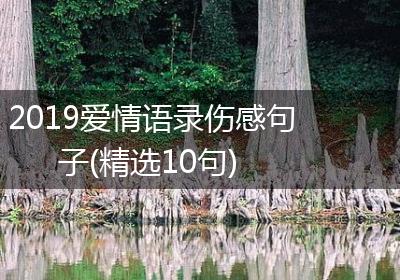 2019爱情语录伤感句子(精选10句)