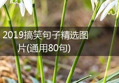 2019搞笑句子精选图片(通用80句)