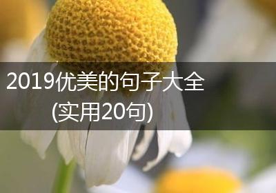 2019优美的句子大全(实用20句)