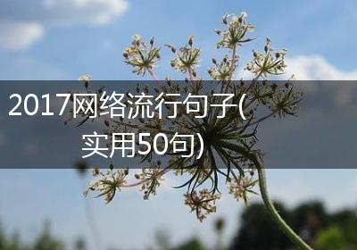 2017网络流行句子(实用50句)