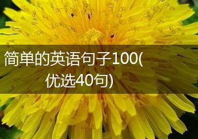 简单的英语句子100(优选40句)