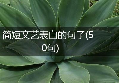 简短文艺表白的句子(50句)