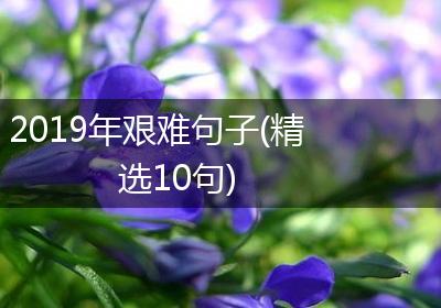 2019年艰难句子(精选10句)