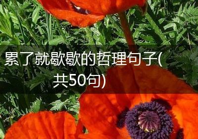 累了就歇歇的哲理句子(共50句)