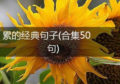 累的经典句子(合集50句)