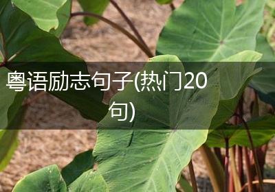 粤语励志句子(热门20句)