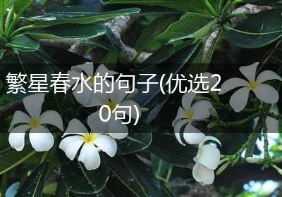 繁星春水的句子(优选20句)