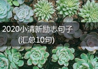 2020小清新励志句子(汇总10句)