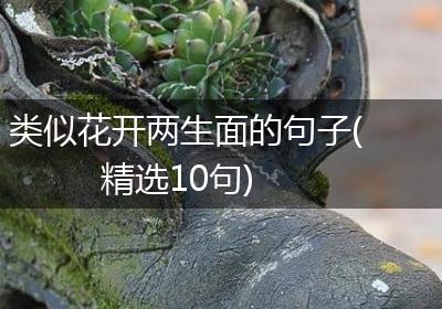 类似花开两生面的句子(精选10句)