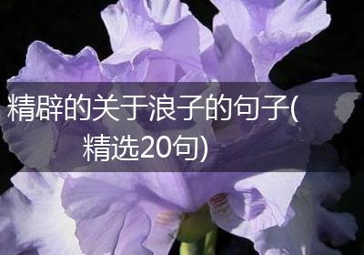 精辟的关于浪子的句子(精选20句)