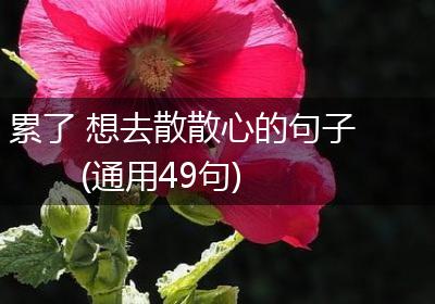 累了 想去散散心的句子(通用49句)