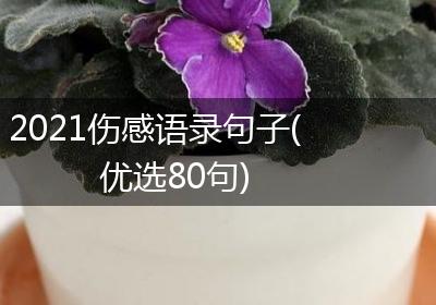 2021伤感语录句子(优选80句)