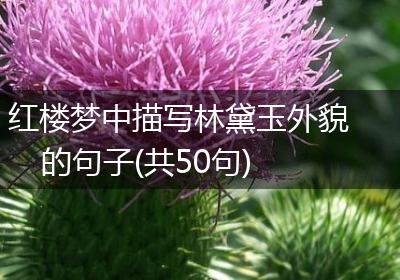 红楼梦中描写林黛玉外貌的句子(共50句)