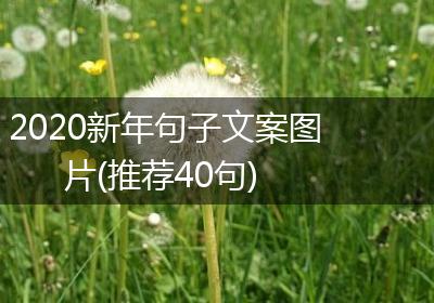 2020新年句子文案图片(推荐40句)