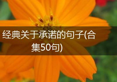 经典关于承诺的句子(合集50句)