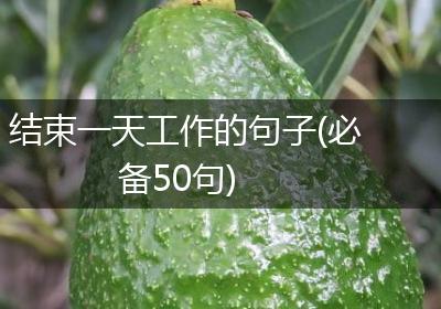 结束一天工作的句子(必备50句)
