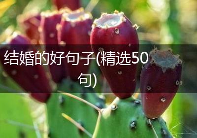 结婚的好句子(精选50句)