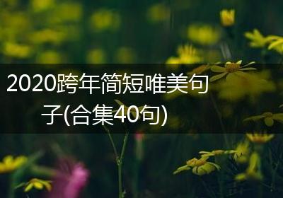 2020跨年简短唯美句子(合集40句)