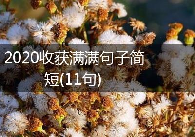 2020收获满满句子简短(11句)