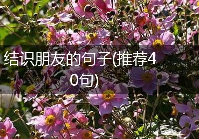结识朋友的句子(推荐40句)