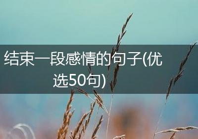 结束一段感情的句子(优选50句)
