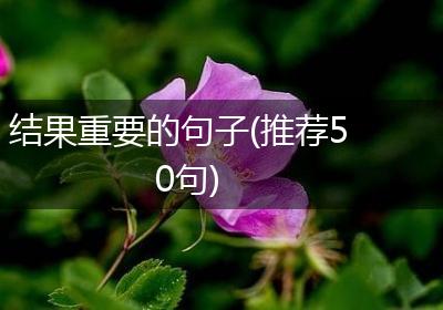 结果重要的句子(推荐50句)