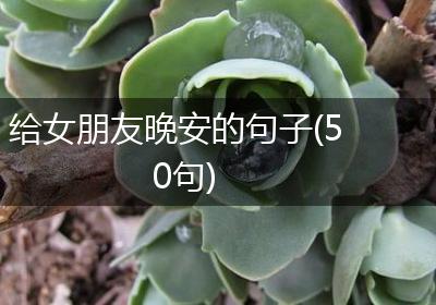 给女朋友晚安的句子(50句)