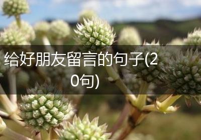 给好朋友留言的句子(20句)