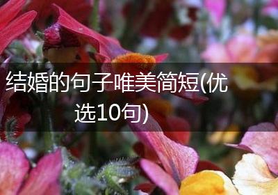 结婚的句子唯美简短(优选10句)
