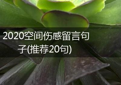 2020空间伤感留言句子(推荐20句)