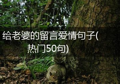 给老婆的留言爱情句子(热门50句)
