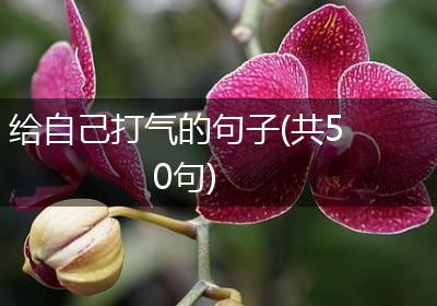给自己打气的句子(共50句)