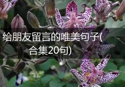给朋友留言的唯美句子(合集20句)