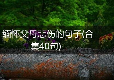 缅怀父母悲伤的句子(合集40句)
