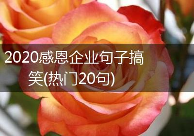 2020感恩企业句子搞笑(热门20句)