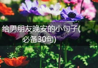 给男朋友晚安的小句子(必备30句)