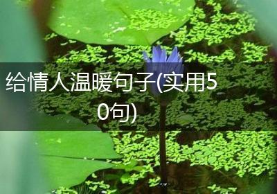 给情人温暖句子(实用50句)