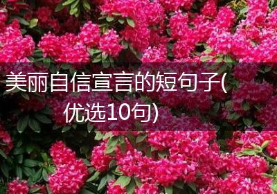 美丽自信宣言的短句子(优选10句)