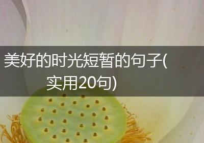 美好的时光短暂的句子(实用20句)