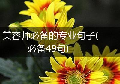 美容师必备的专业句子(必备49句)