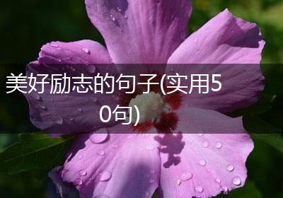 美好励志的句子(实用50句)