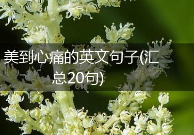 美到心痛的英文句子(汇总20句)
