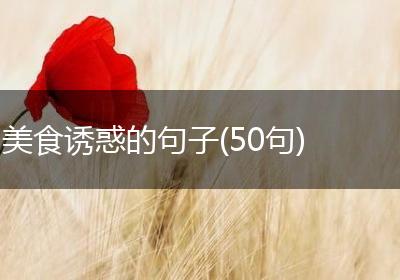 美食诱惑的句子(50句)