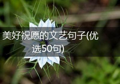 美好祝愿的文艺句子(优选50句)