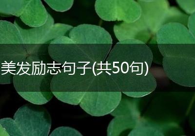 美发励志句子(共50句)