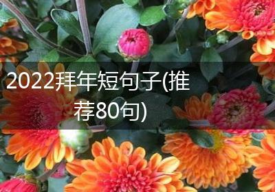 2022拜年短句子(推荐80句)